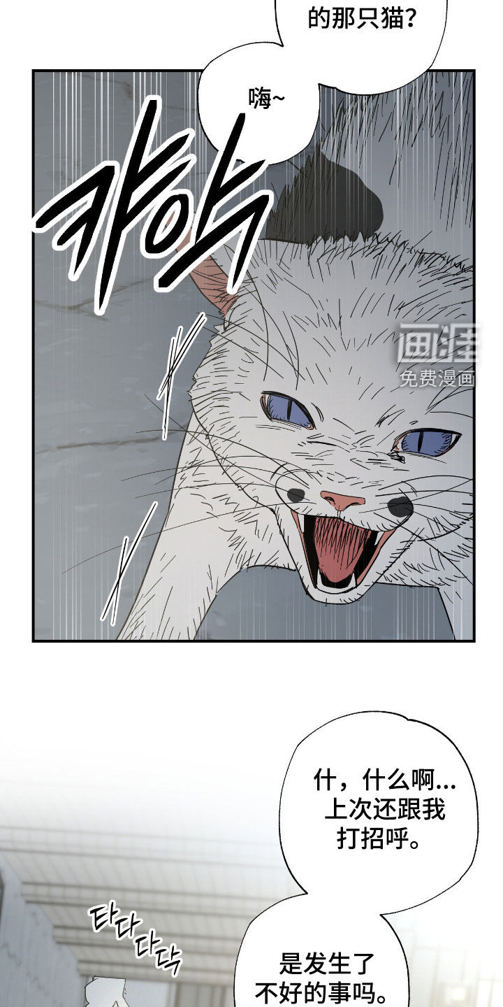 第28话 第28页