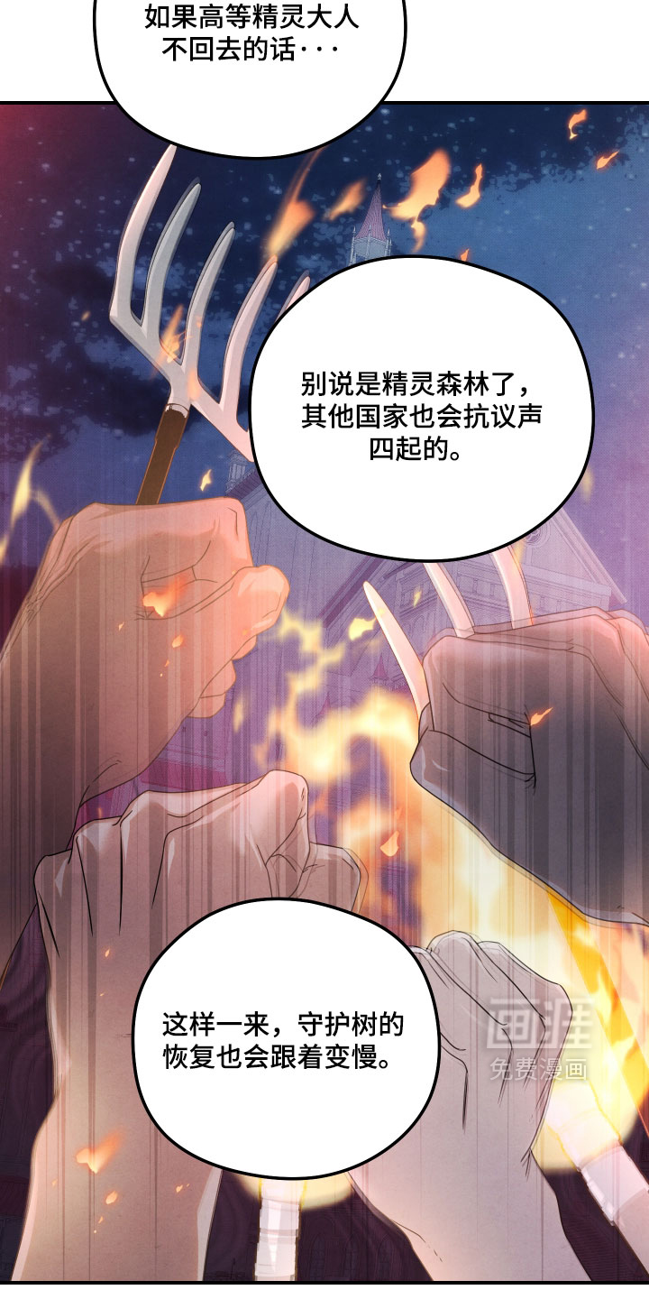 第51话 第13页