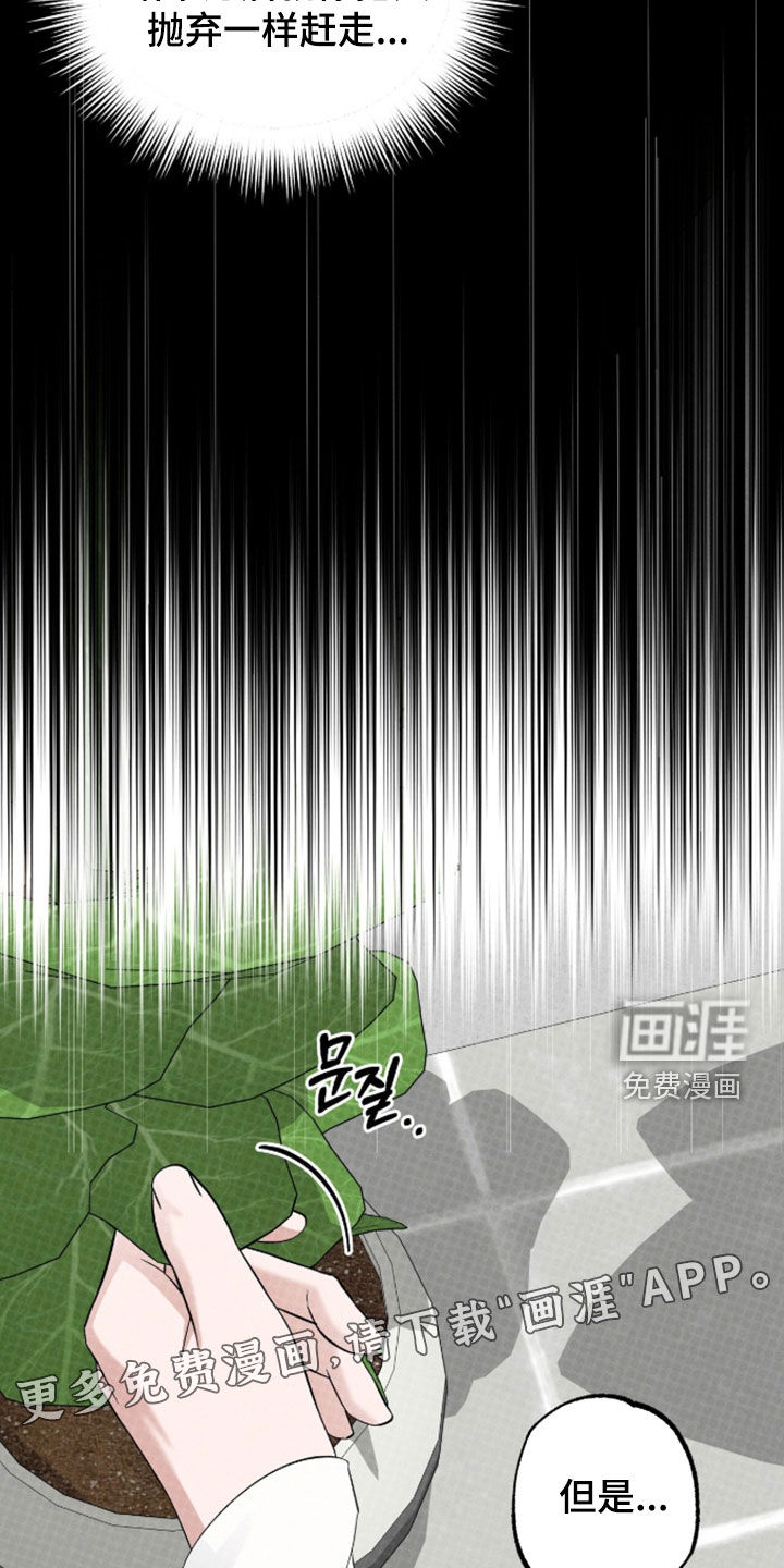 第49话 第4页