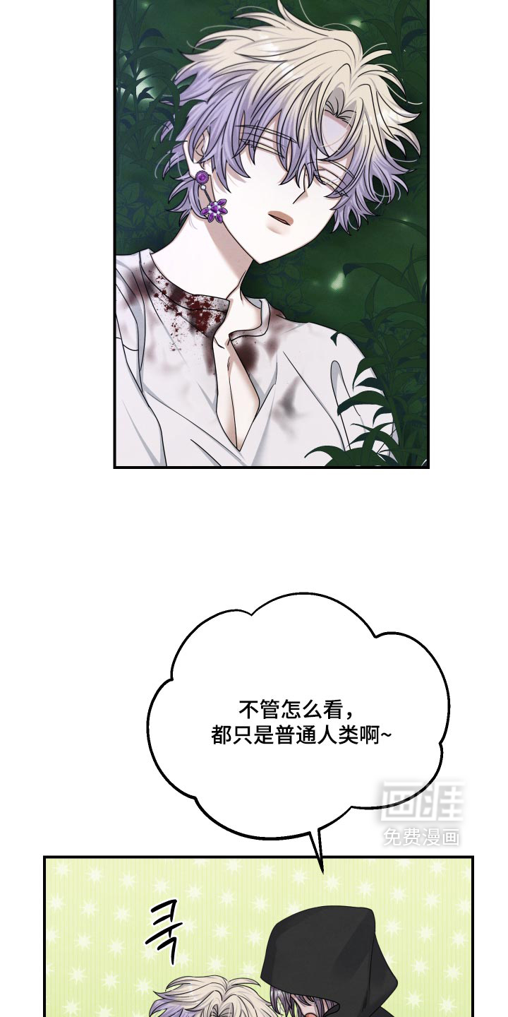 第58话 第4页