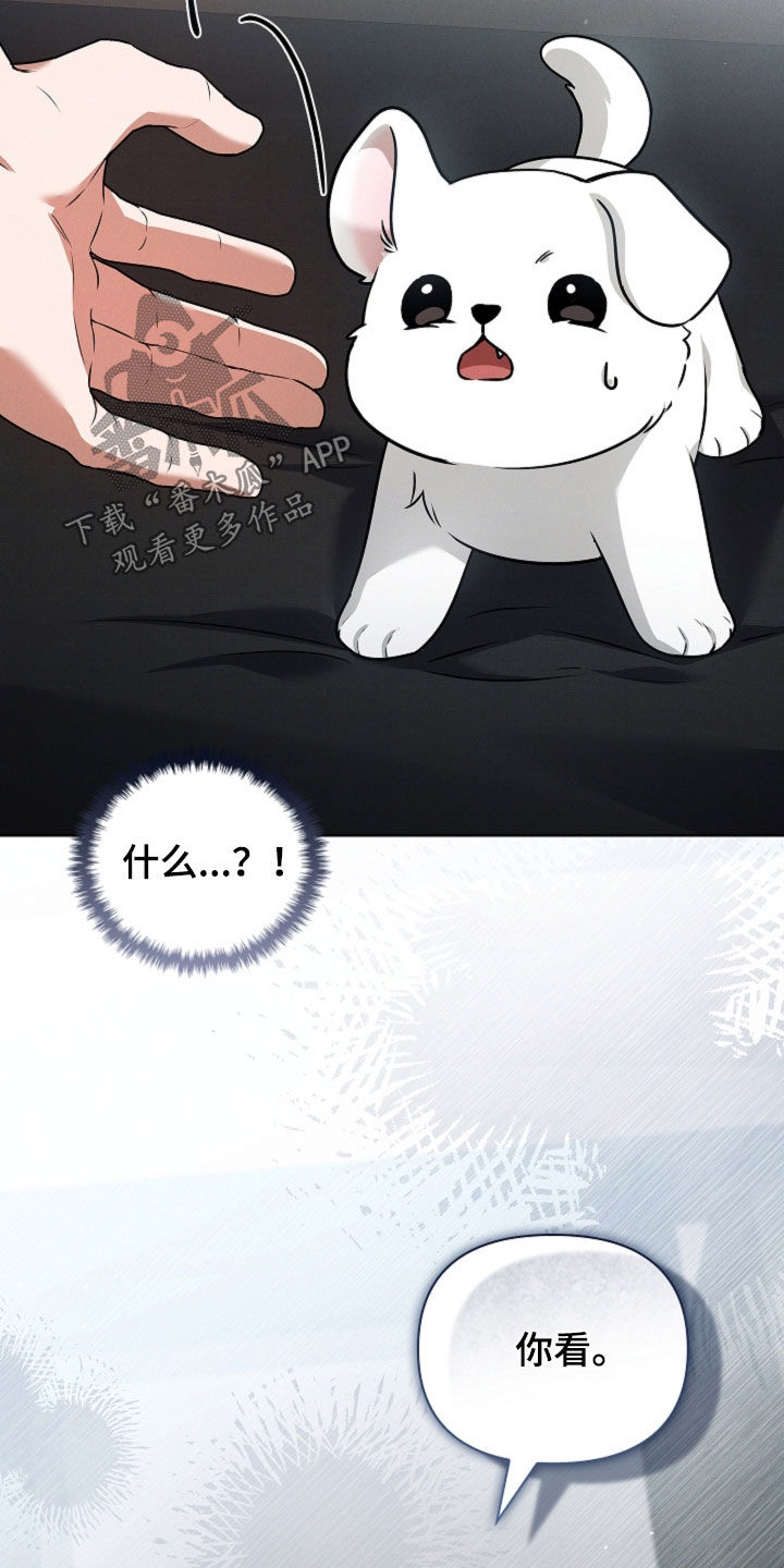 第127话8