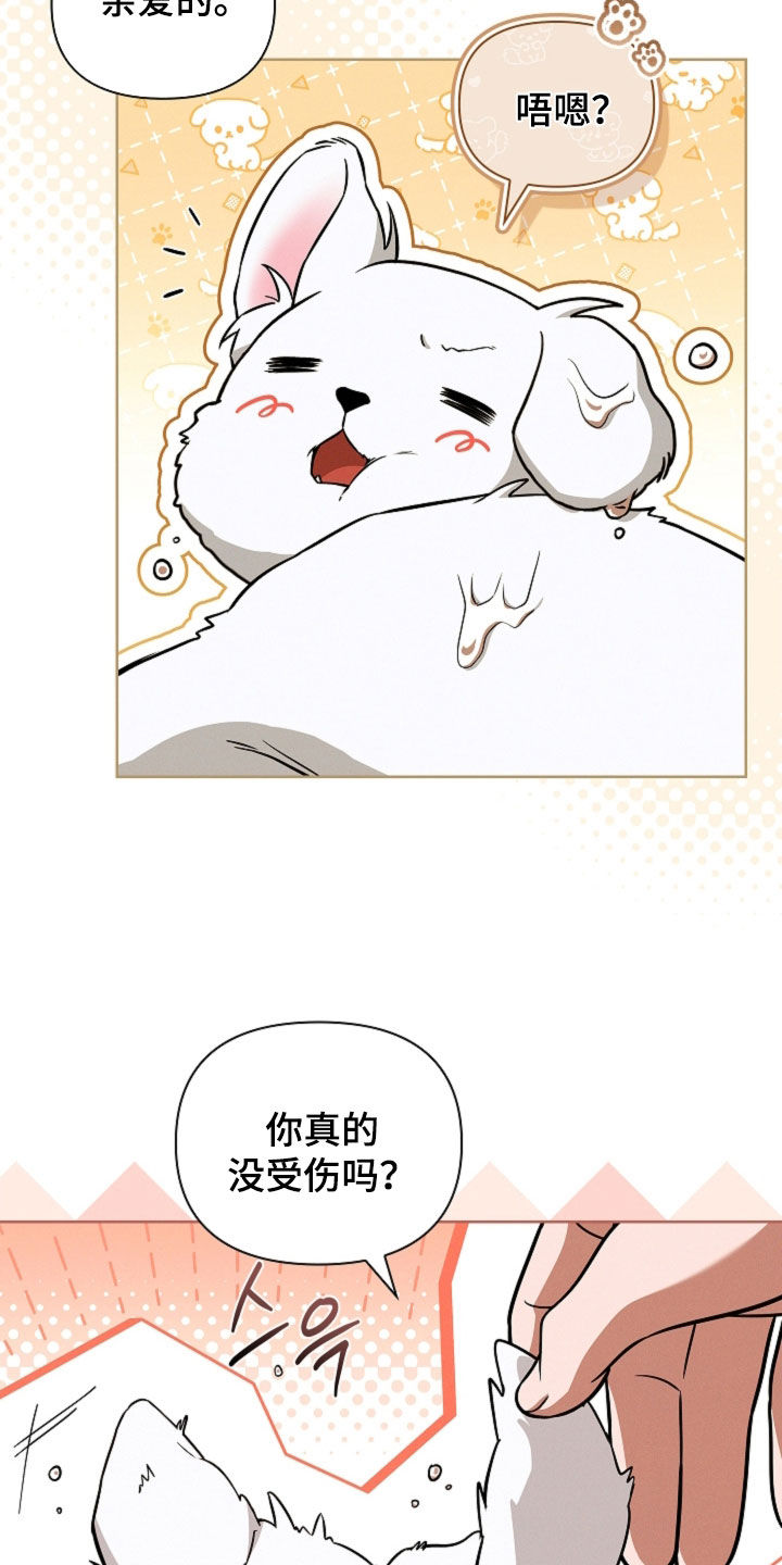 第123话8