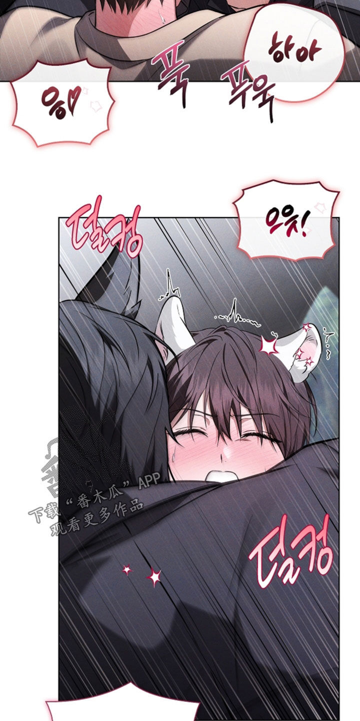 第119话11