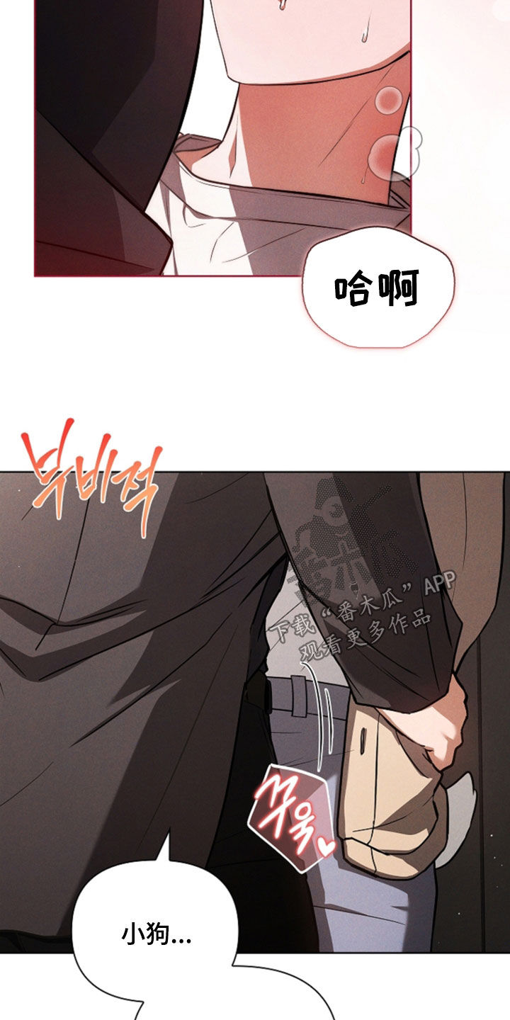 第119话20