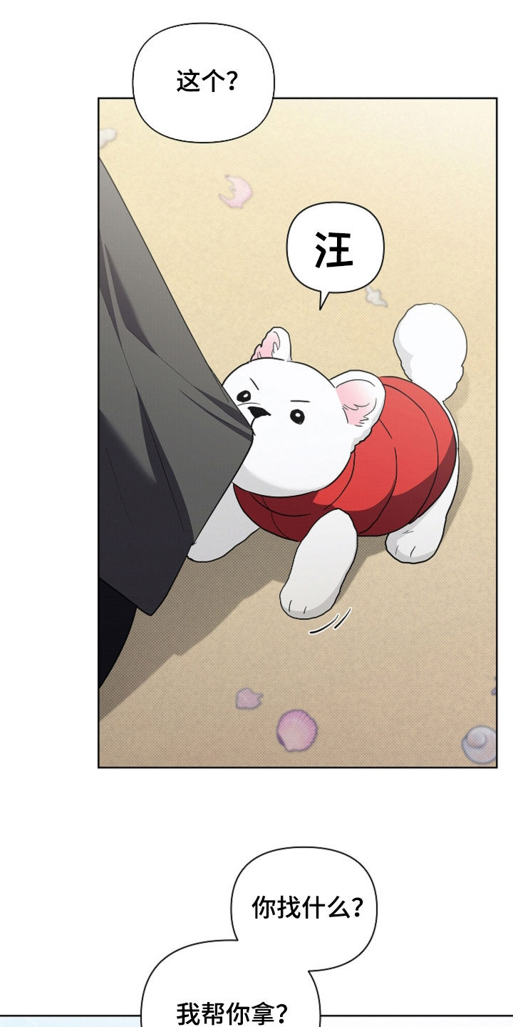第116话13