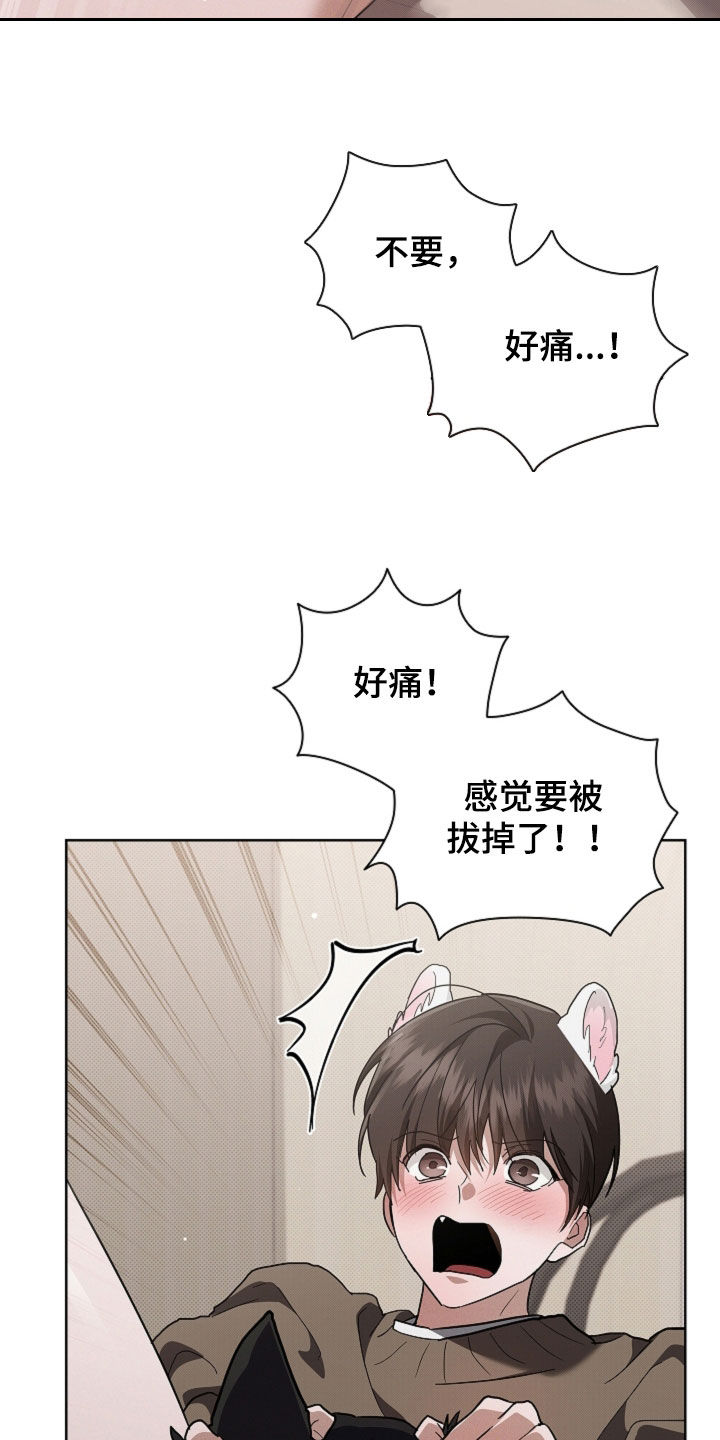 第114话3