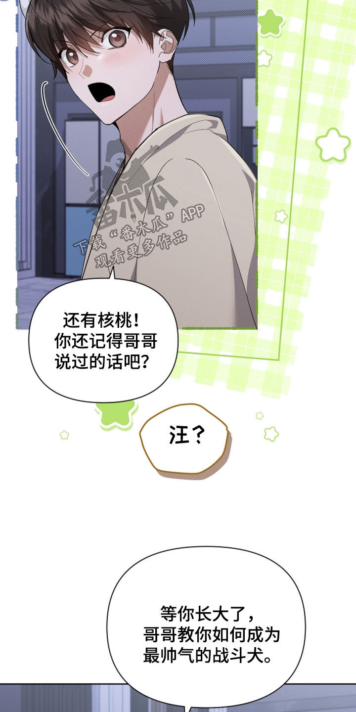 第111话 第11页