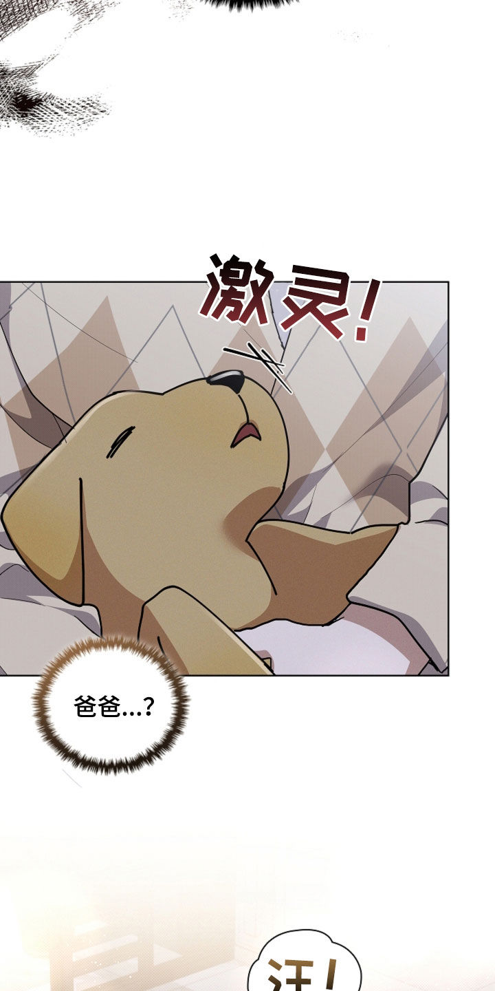 第110话17