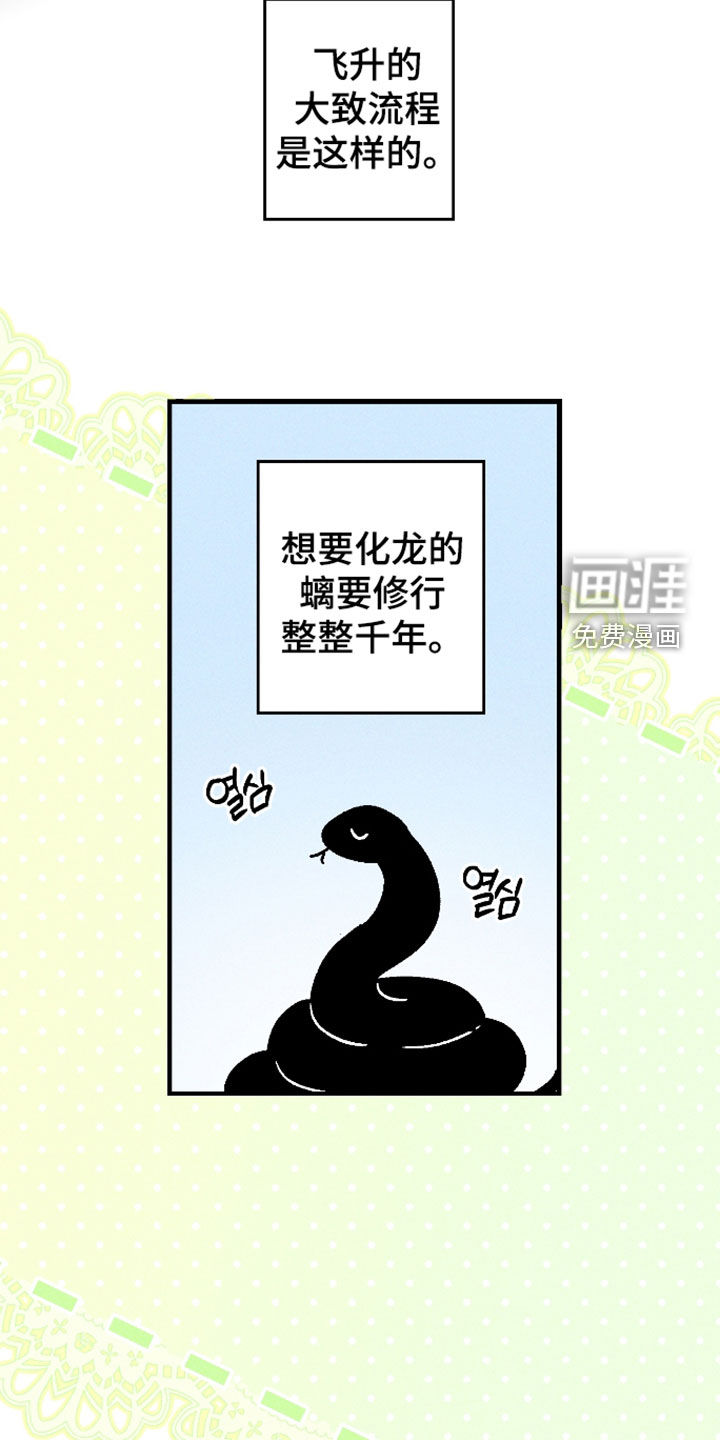 第78话 第13页