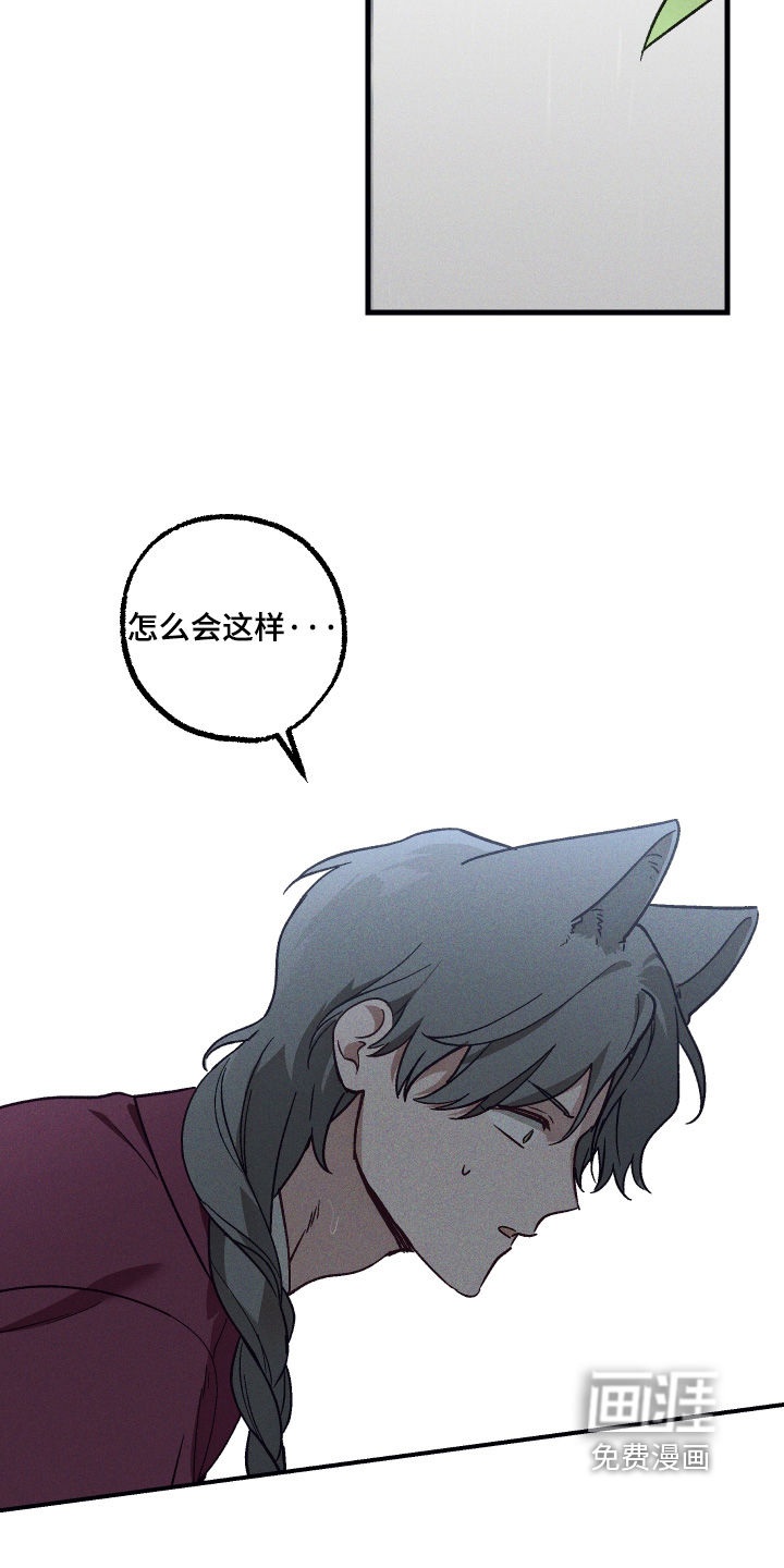 第75话 第3页