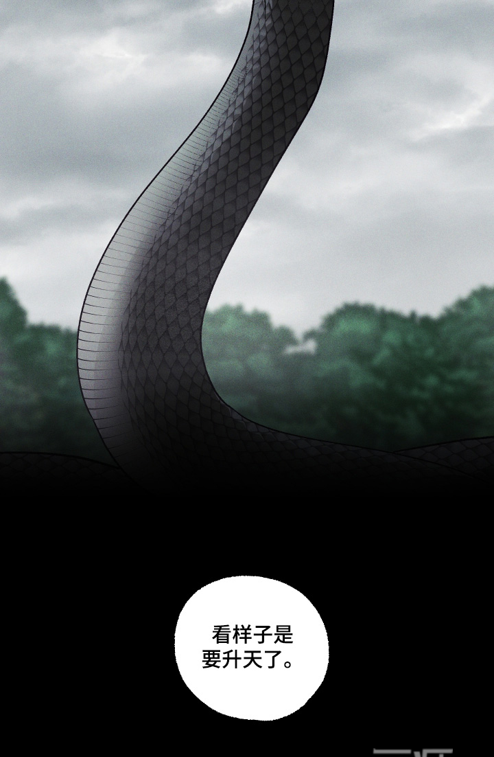 第75话 第25页
