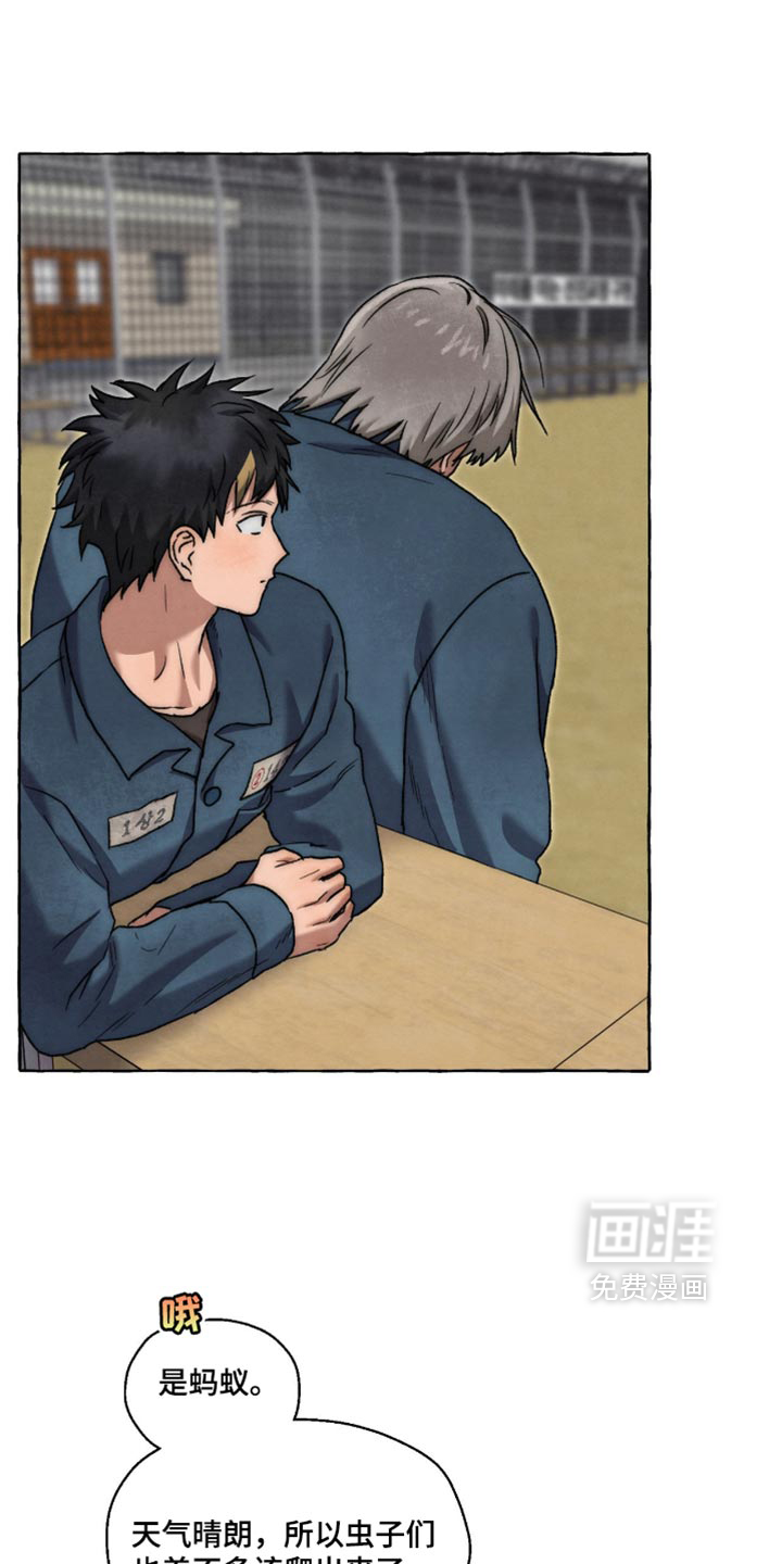 第136话 第26页