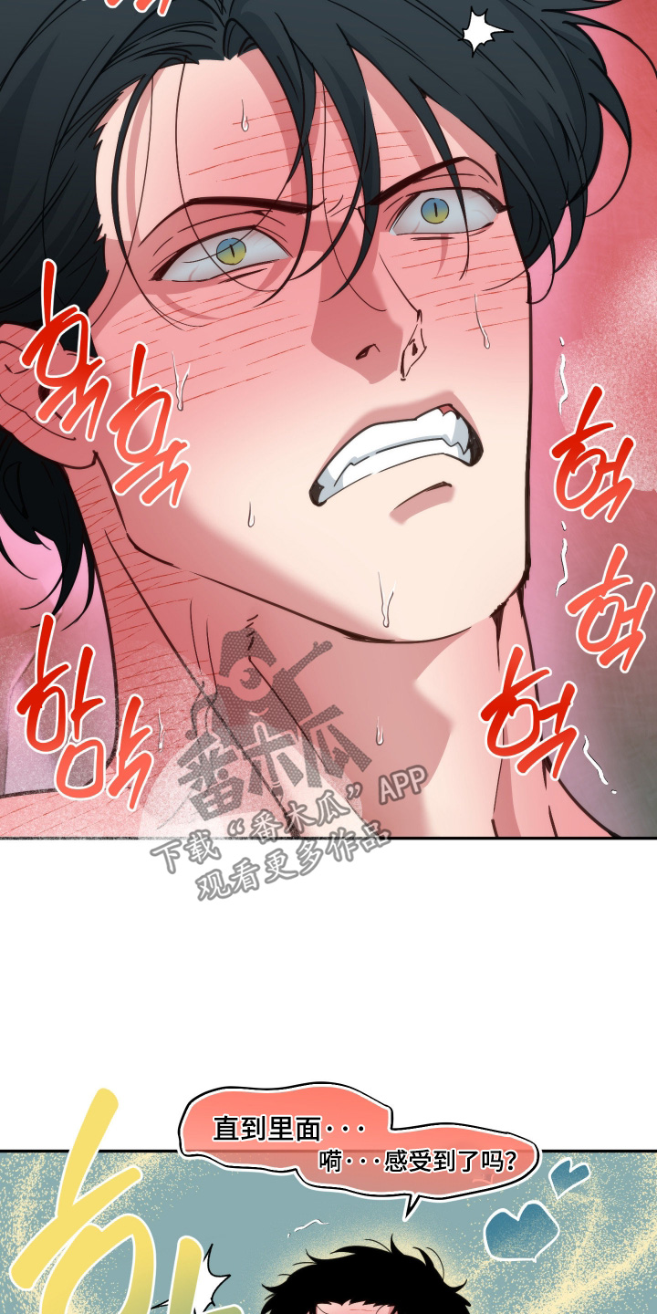 第104话17