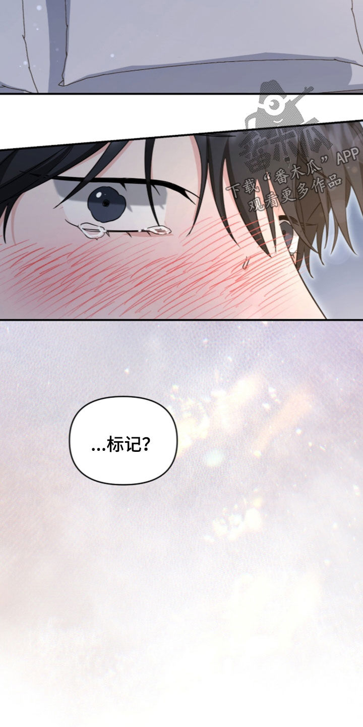 第92话5