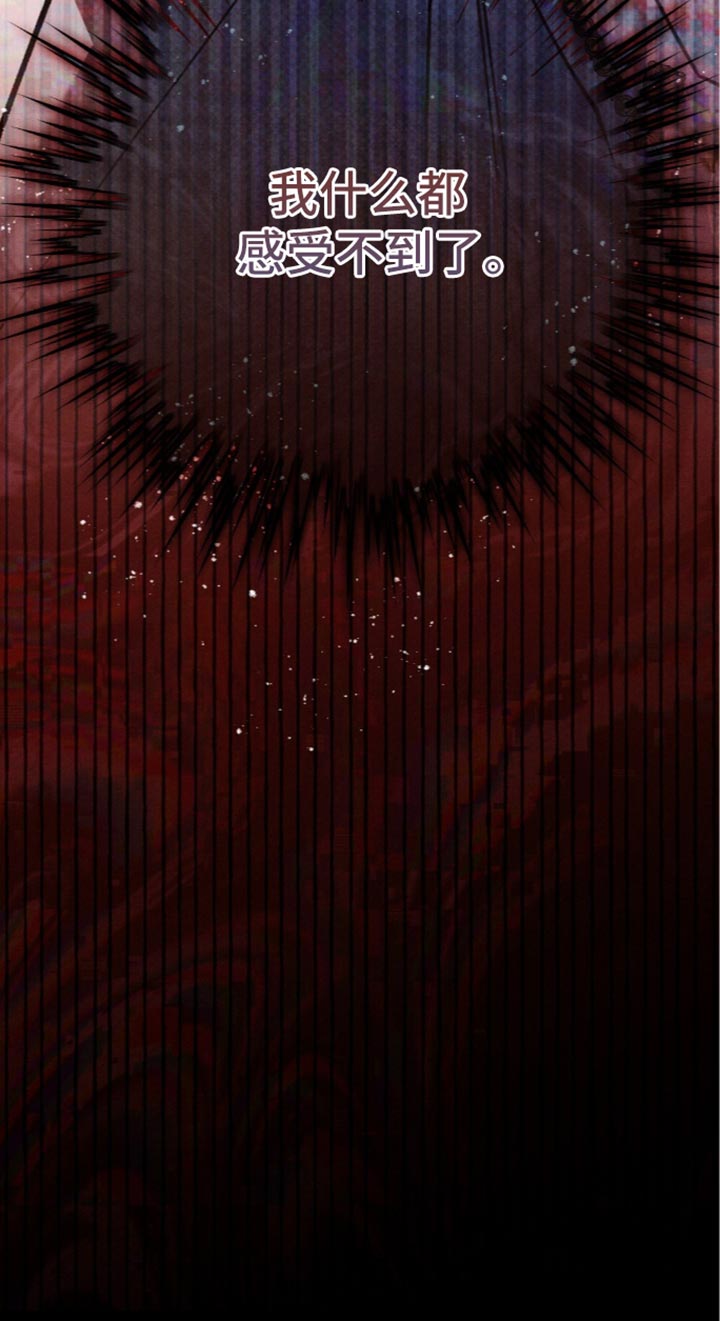 第217话28