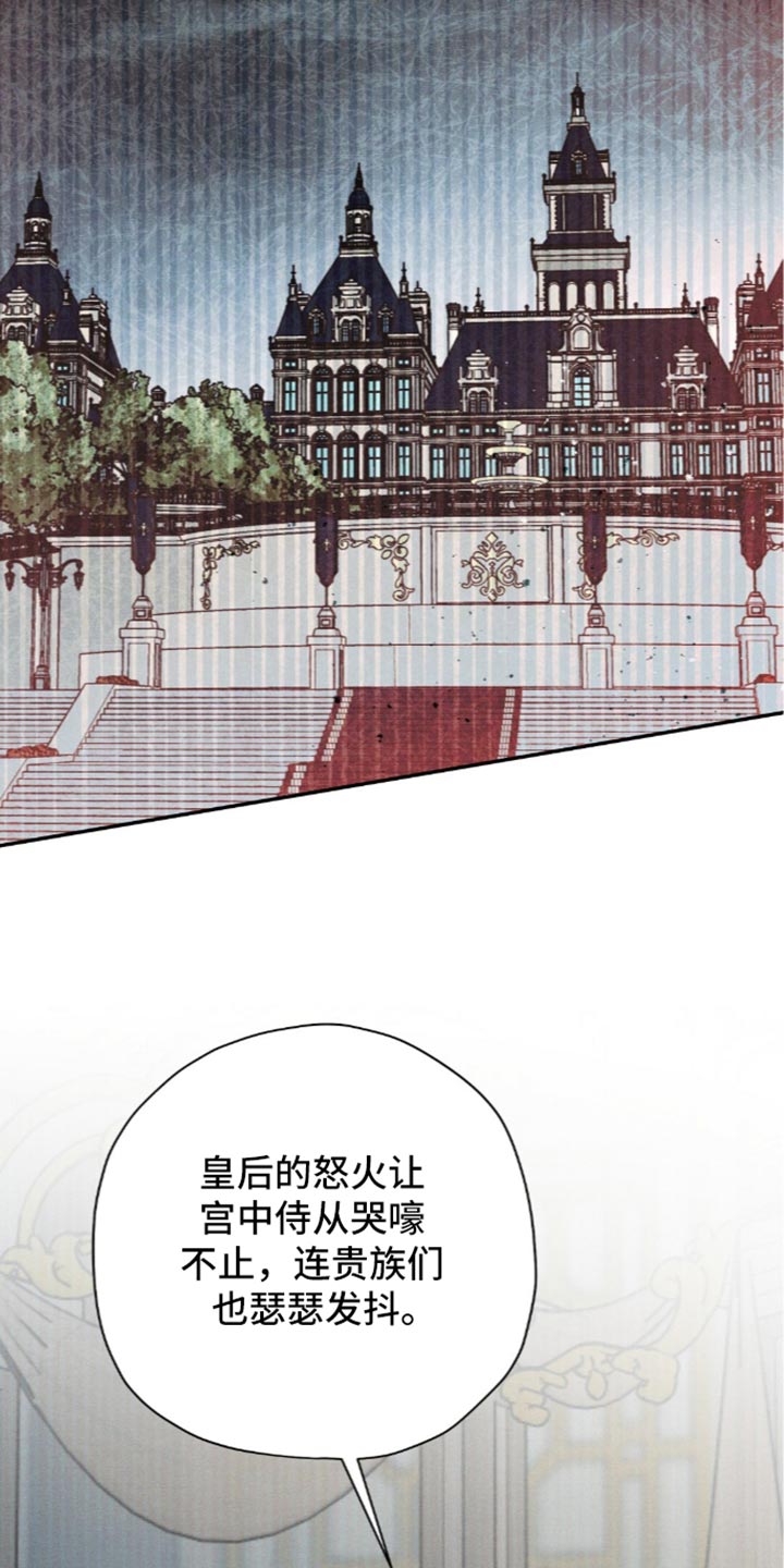 第216话20