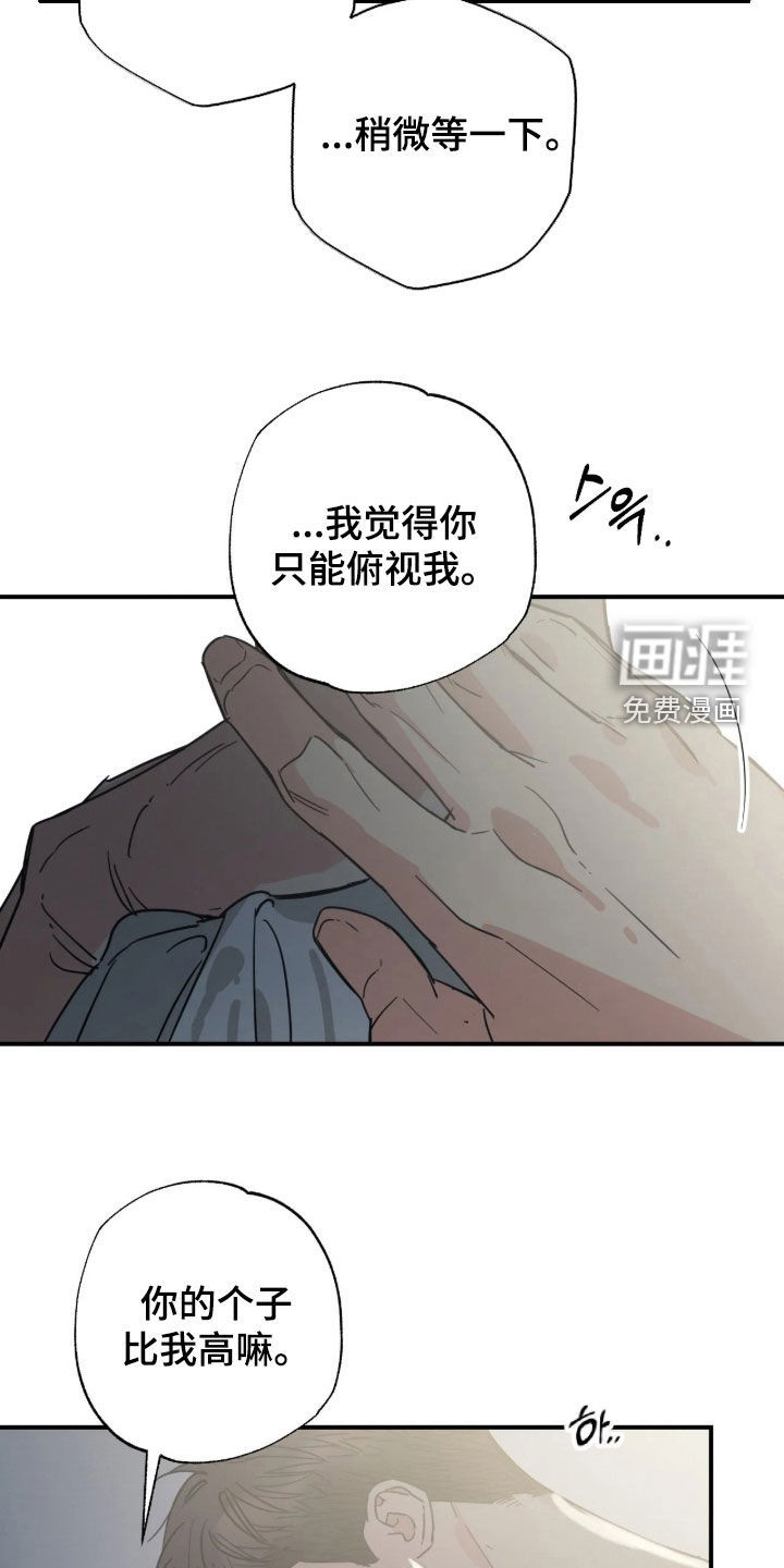 第39话 第19页