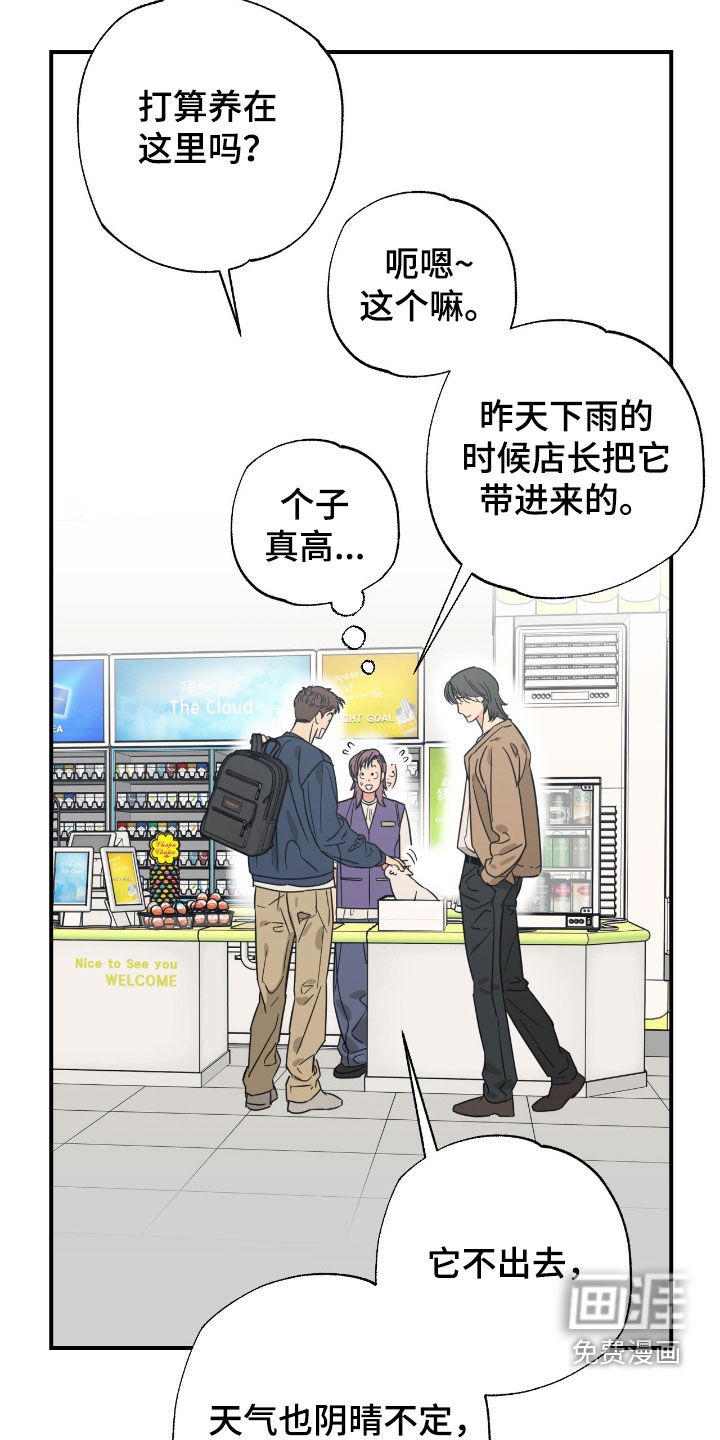 第36话 第14页