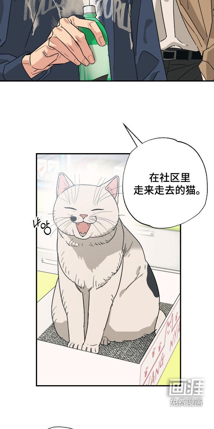 第36话 第13页