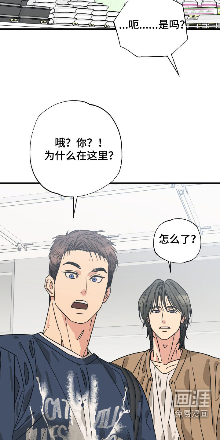 第36话 第12页