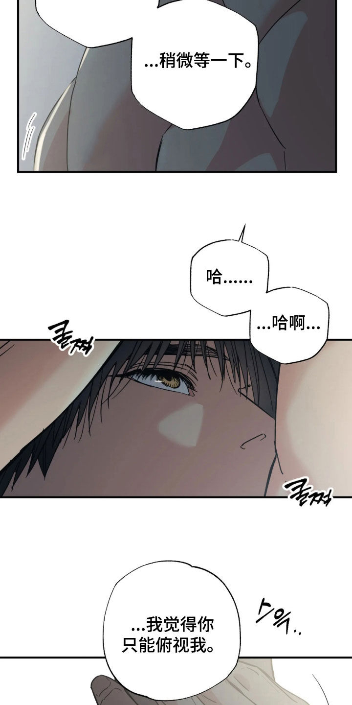 第41话 第19页
