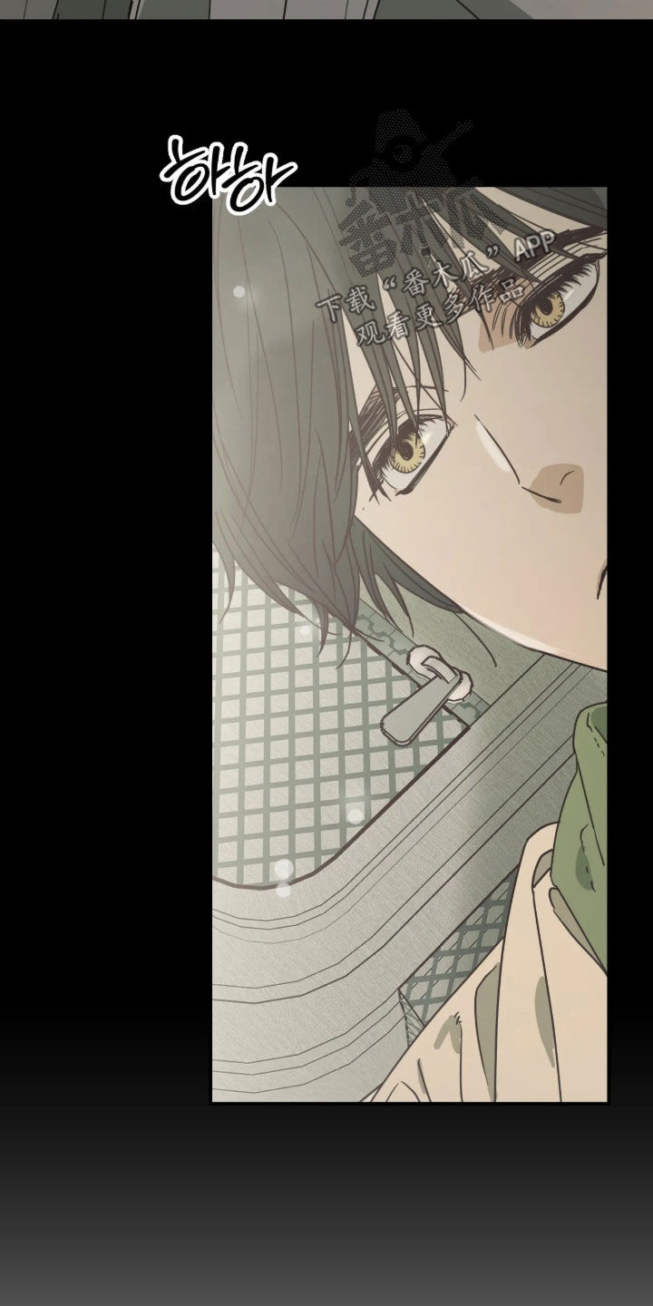 第41话 第8页