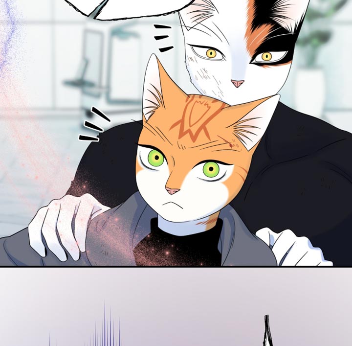 第210话20
