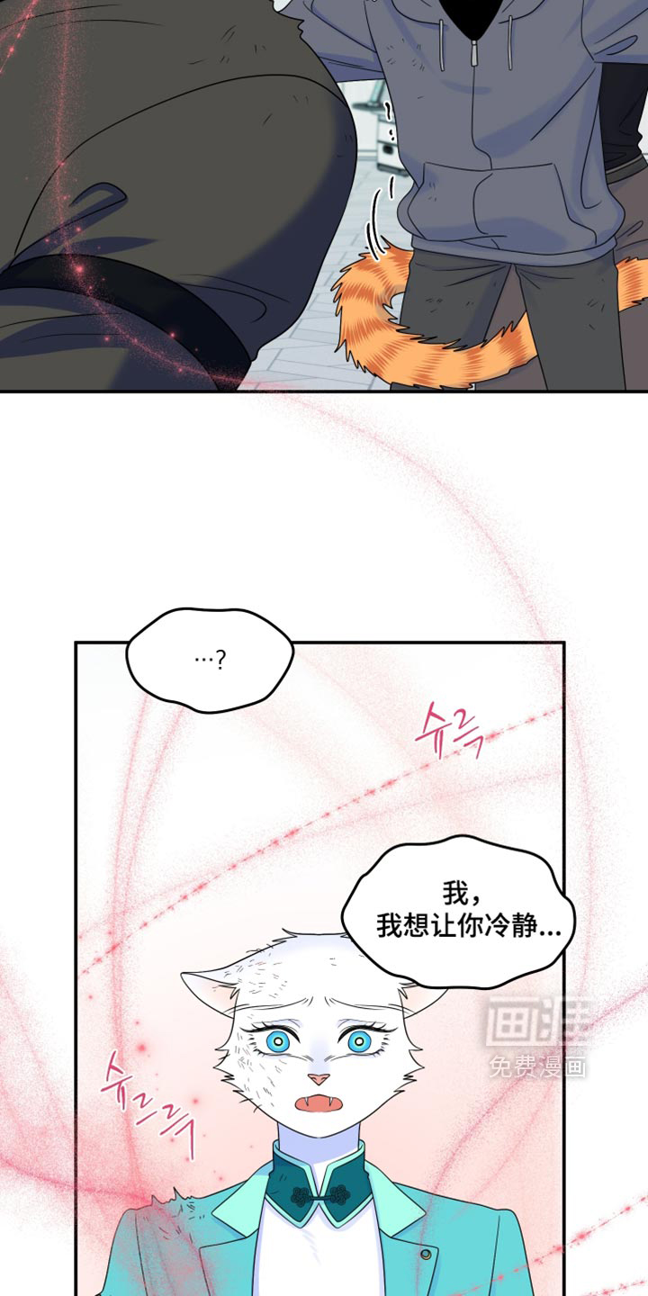 第210话27
