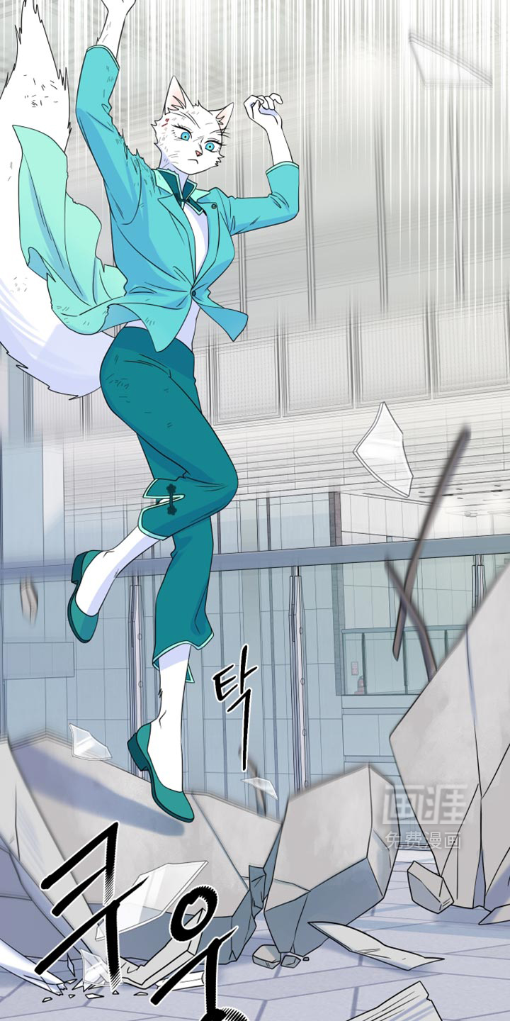 第210话5
