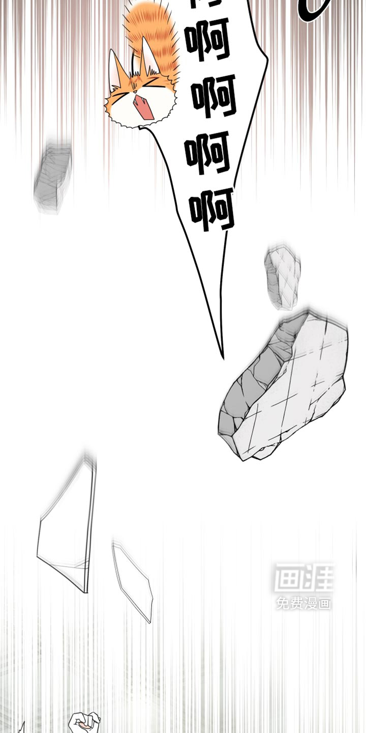 第210话4