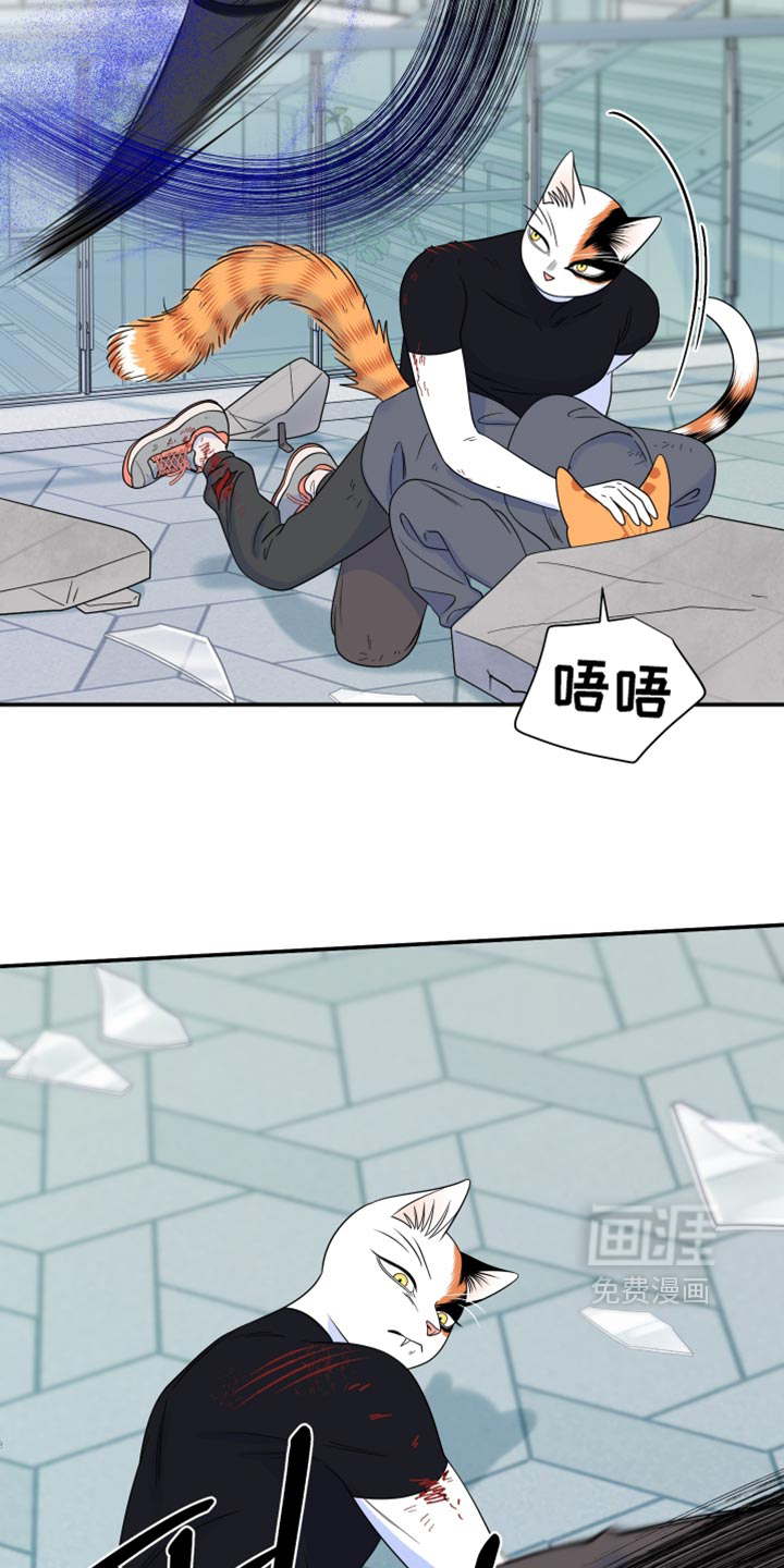 第210话9