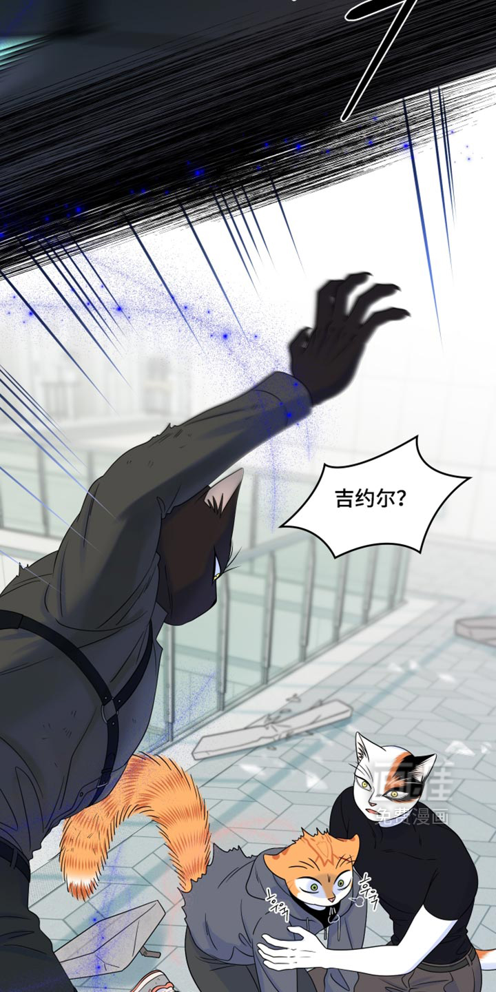 第210话7