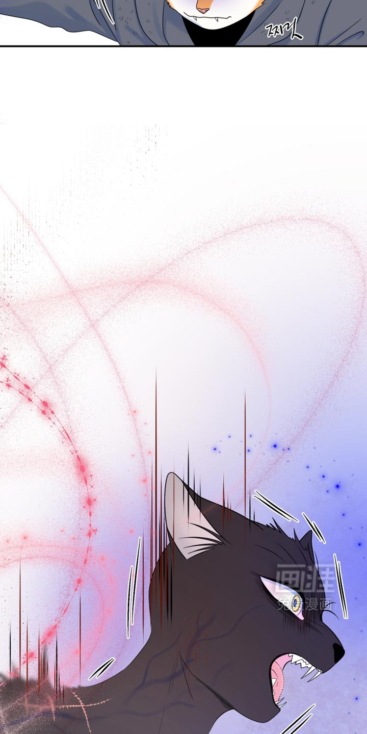 第210话23