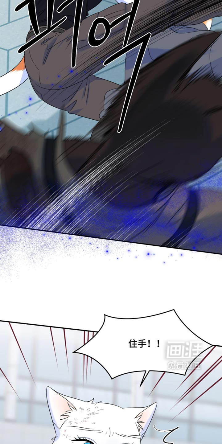 第210话10