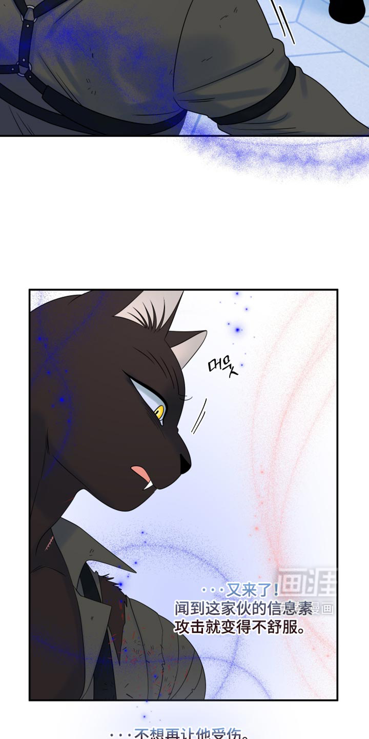 第210话17