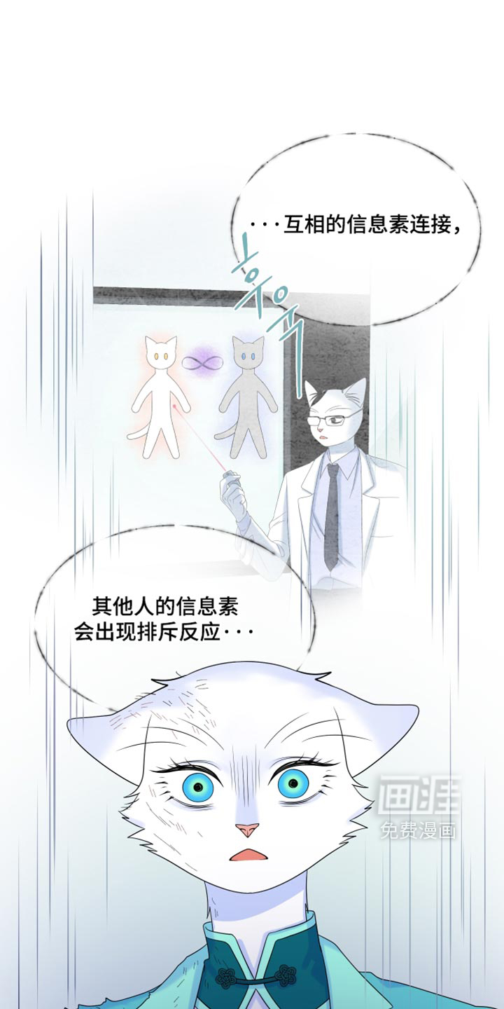 第210话33