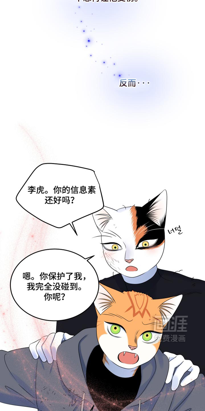 第210话18