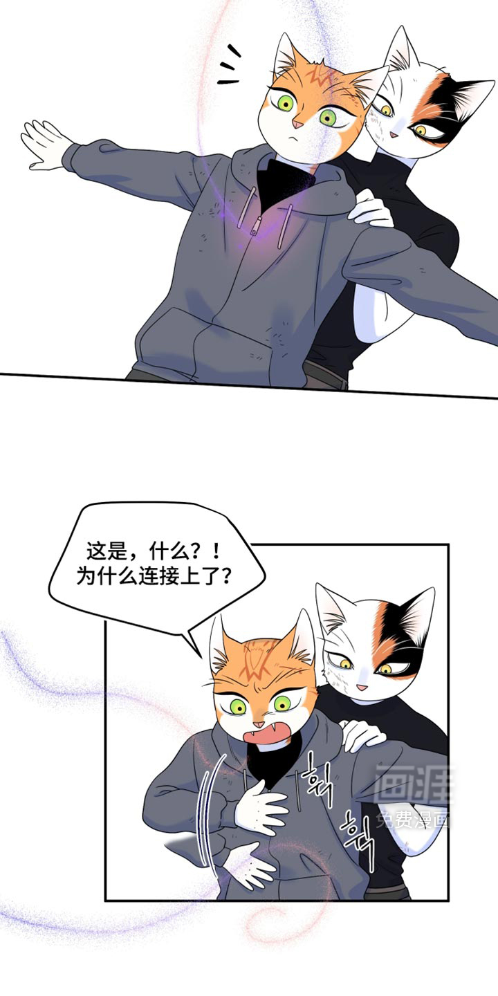 第210话32