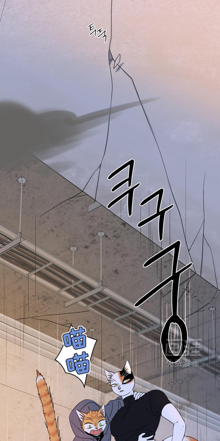 第210话2
