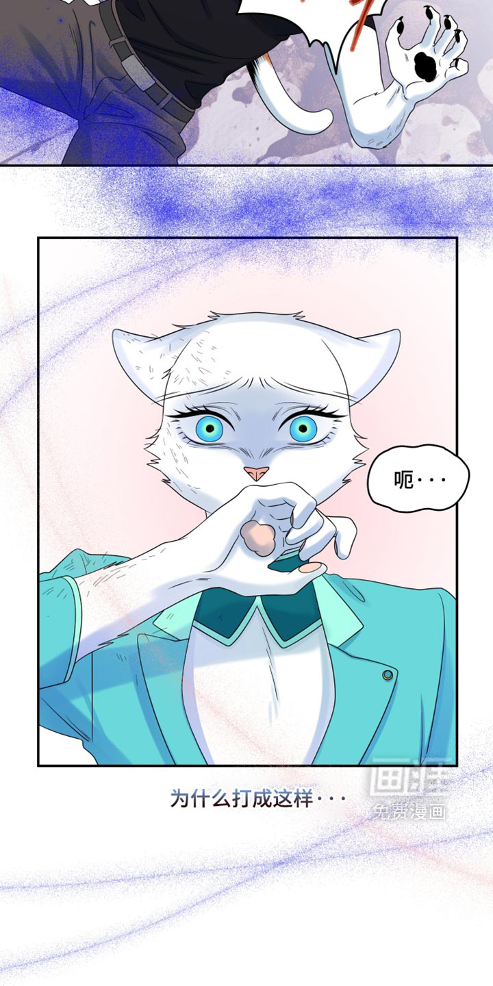 第210话14