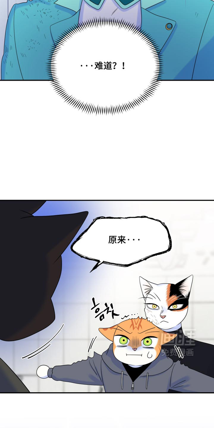 第210话34