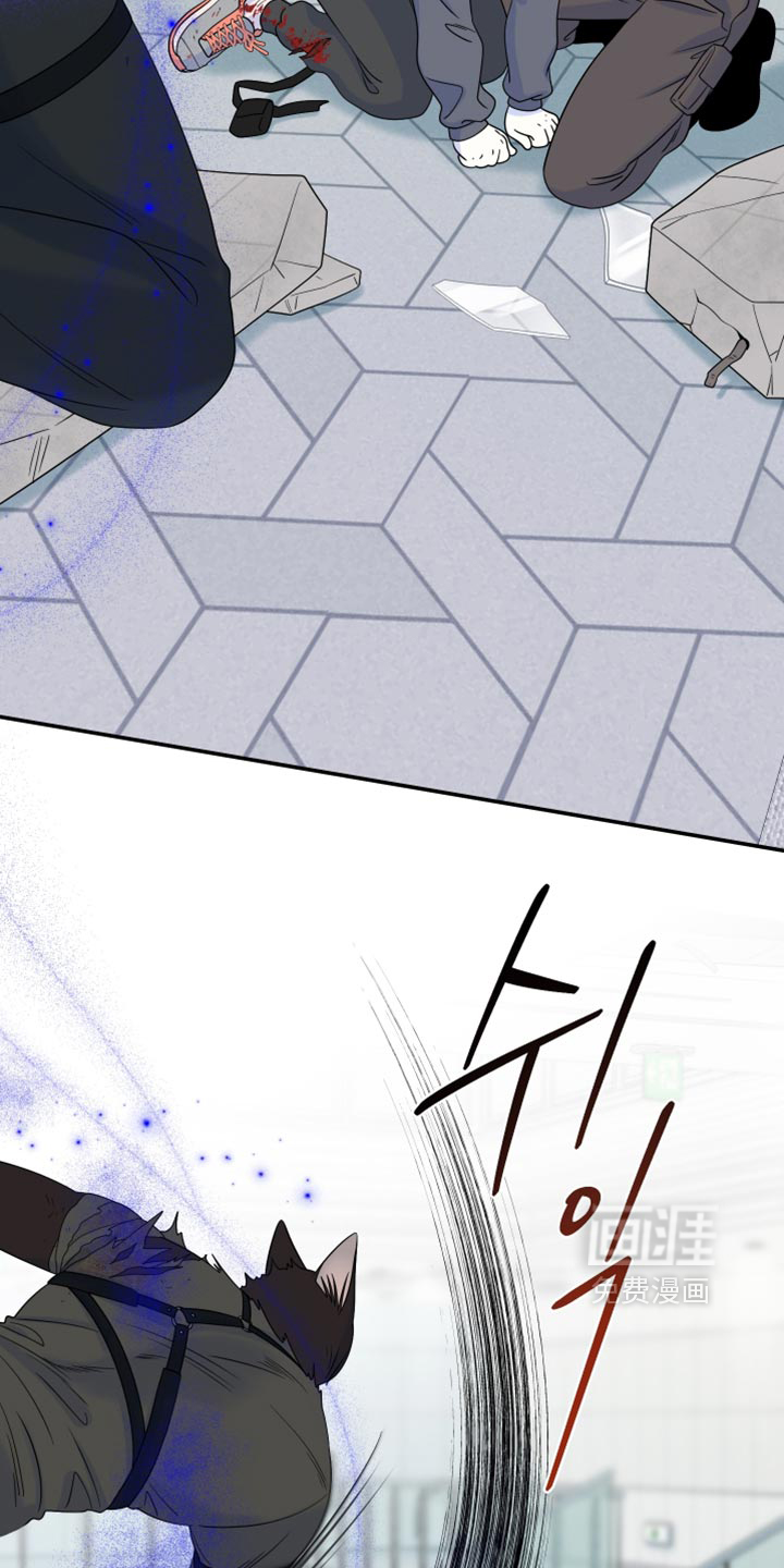第210话8