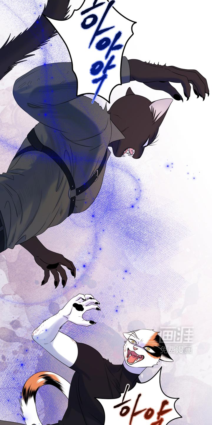 第210话13