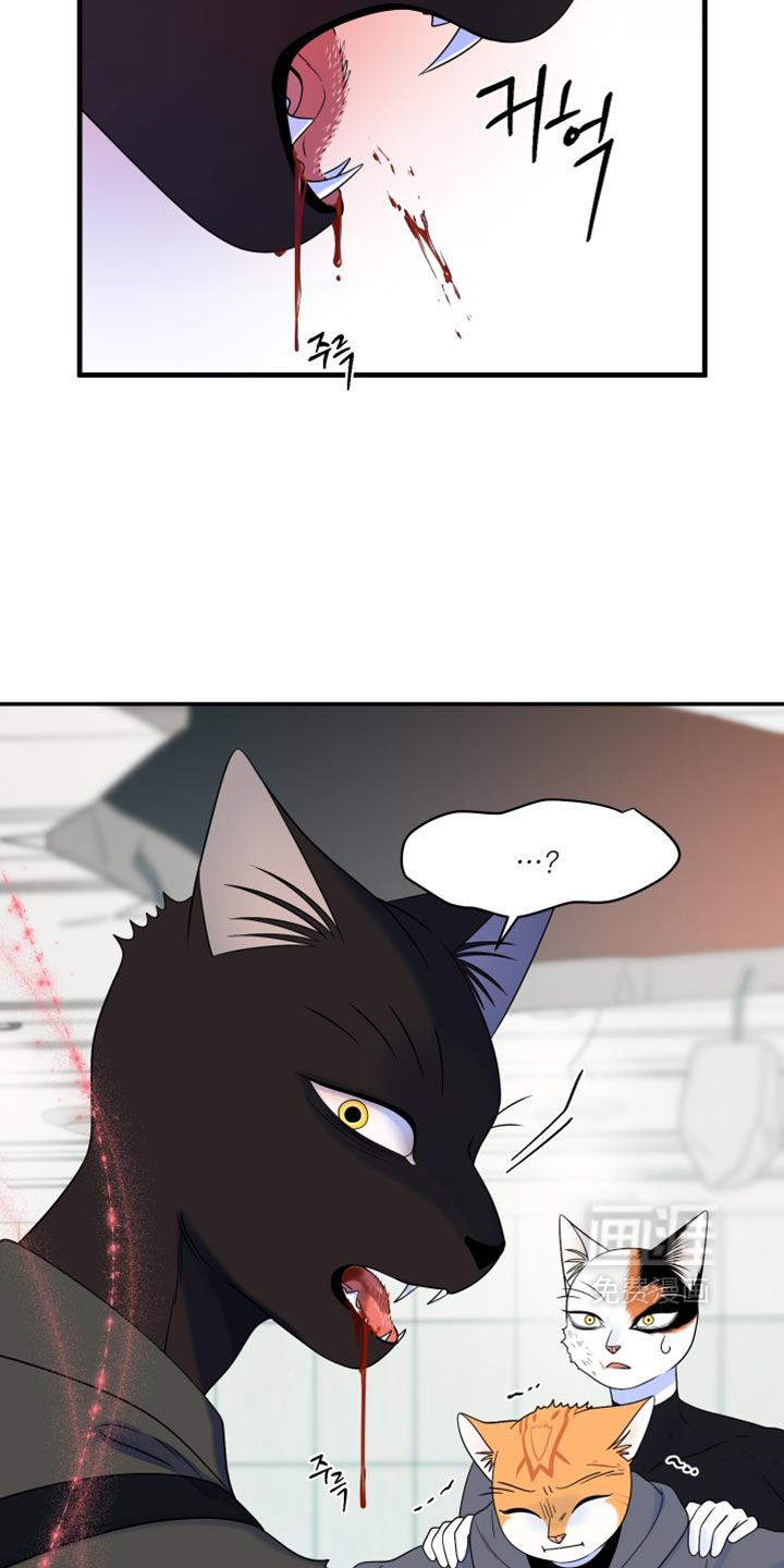 第210话26