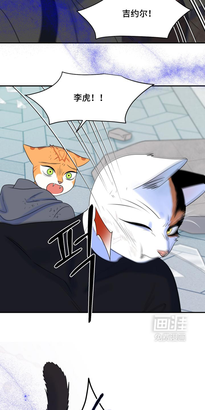 第210话12