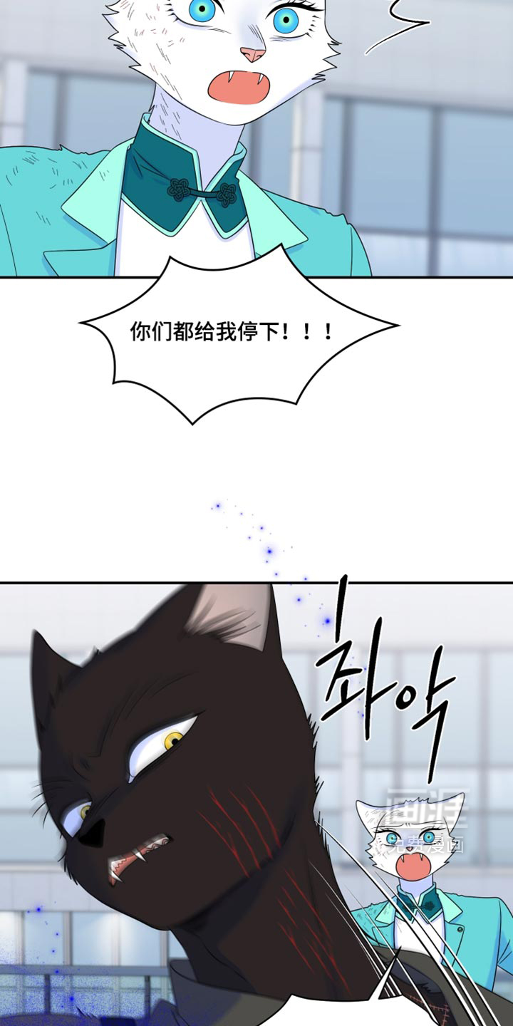 第210话11