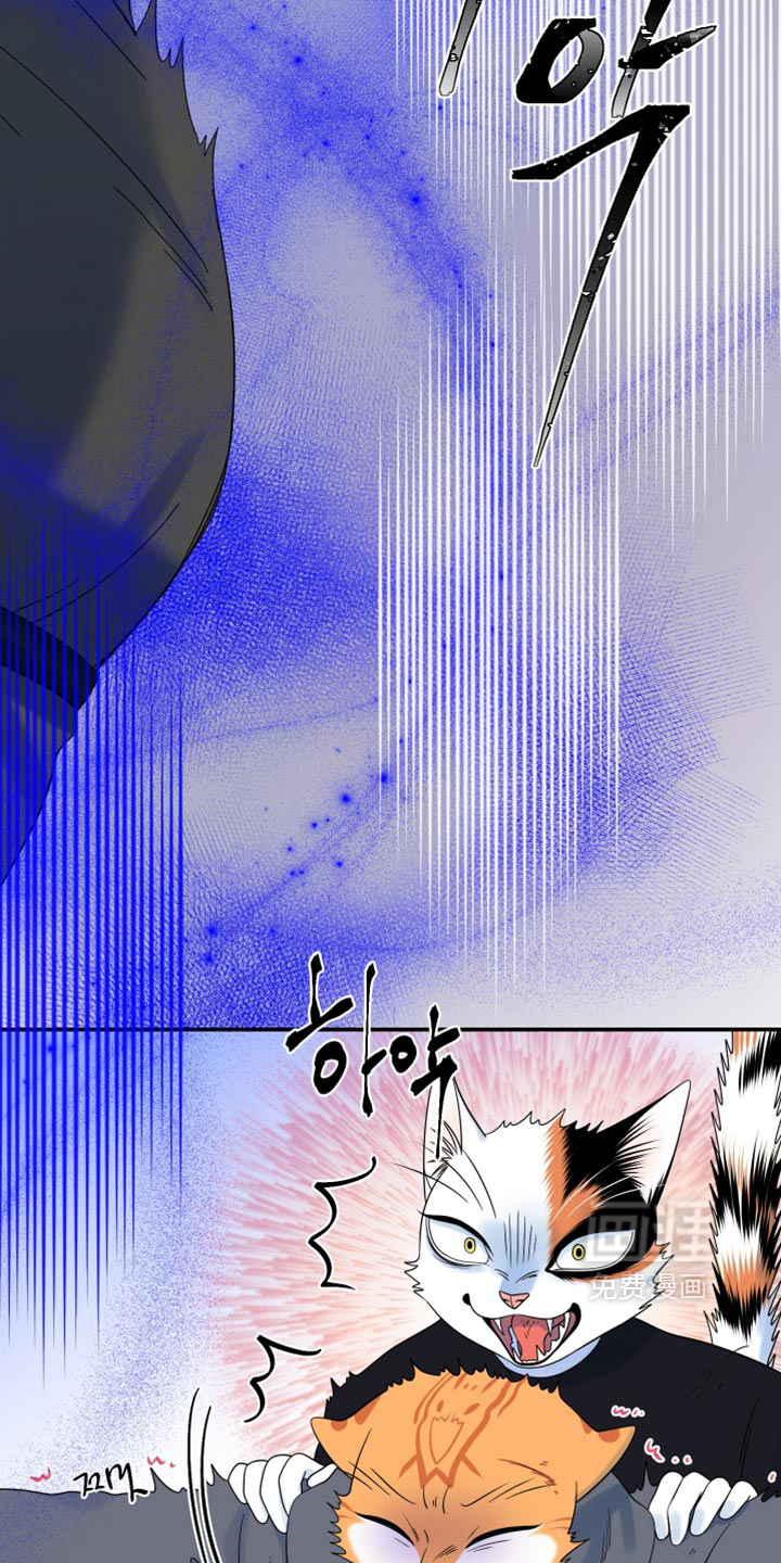 第210话22