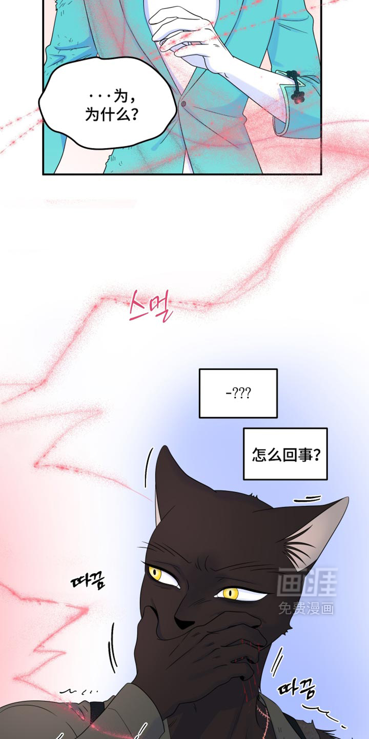 第210话28