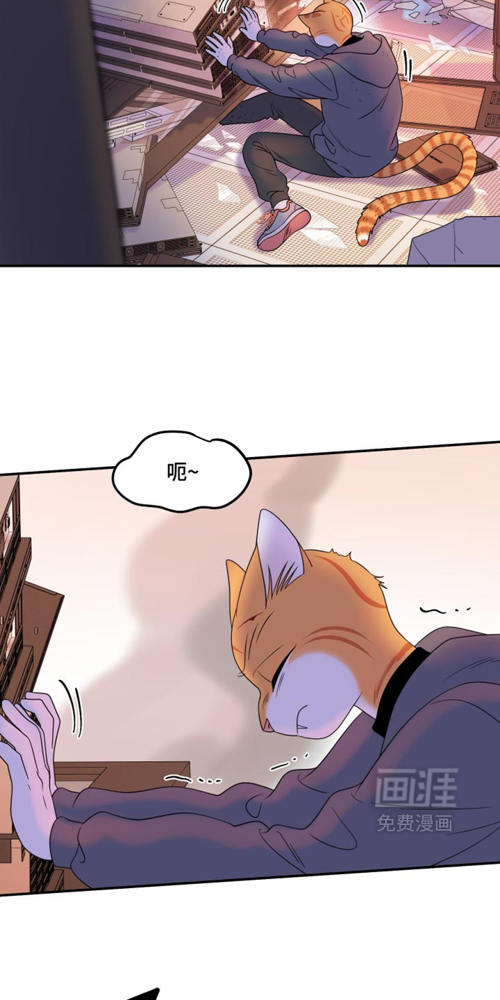 第209话16