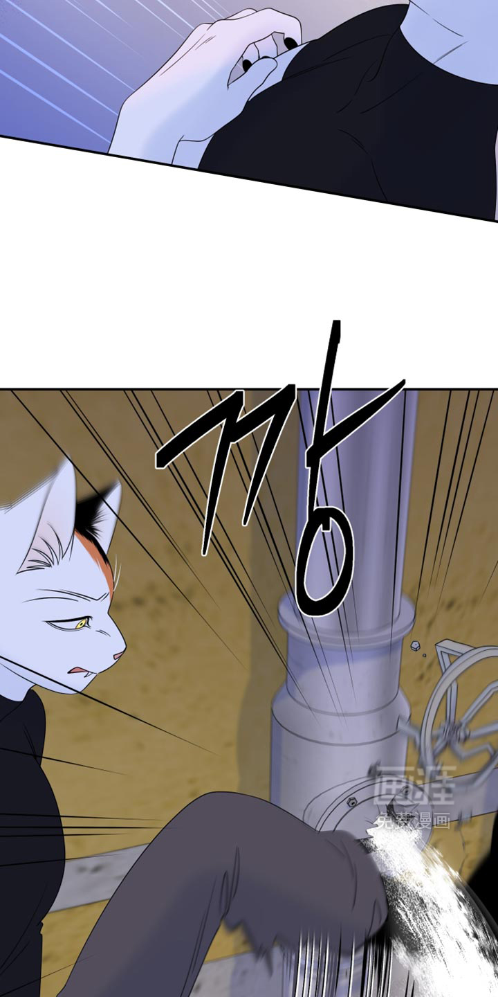 第209话10